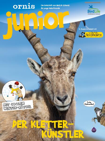 Ornis Junior Ornis Junior