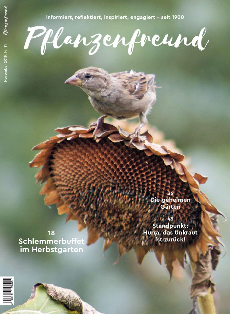 Pflanzenfreund Pflanzenfreund