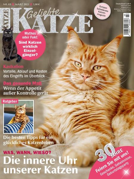 Geliebte Katze