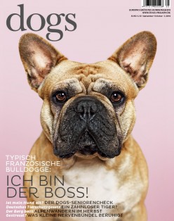 Dogs